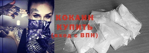 ешки Корсаков