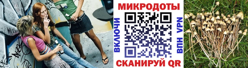 Галлюциногенные грибы Psilocybe где можно купить наркотик Ильский