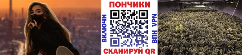где продают   Ильский  Бошки марихуана конопля 